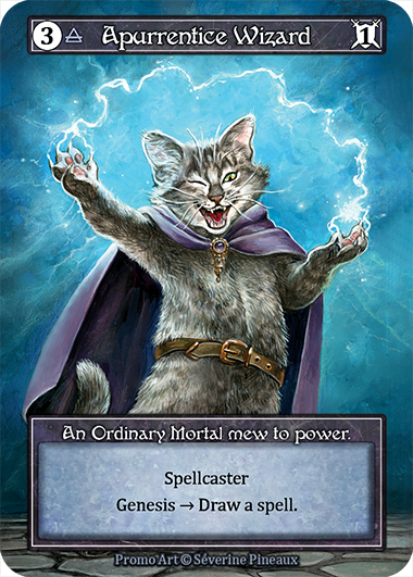 Apprentice Wizard